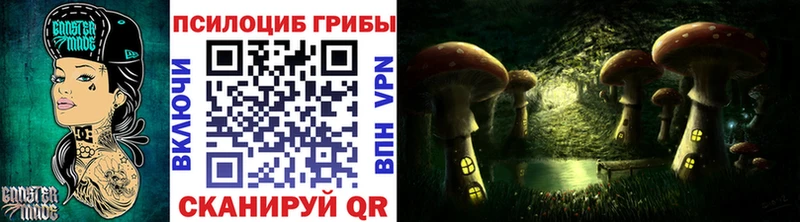 что такое   Зима  Псилоцибиновые грибы Cubensis 